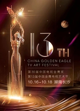 第十三届中国金鹰电视艺术节图片