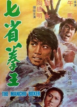 七省拳王（1974）图片