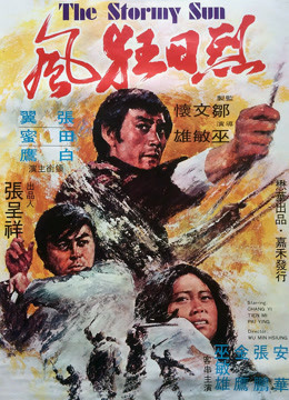 烈日狂风（1973）图片