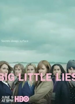 大小谎言 第二季图片