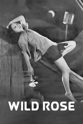 野玫瑰1932图片
