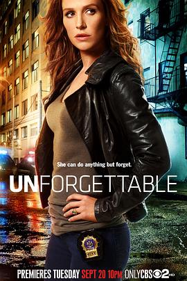 记忆神探  第一季 Unforgettable Season 1图片