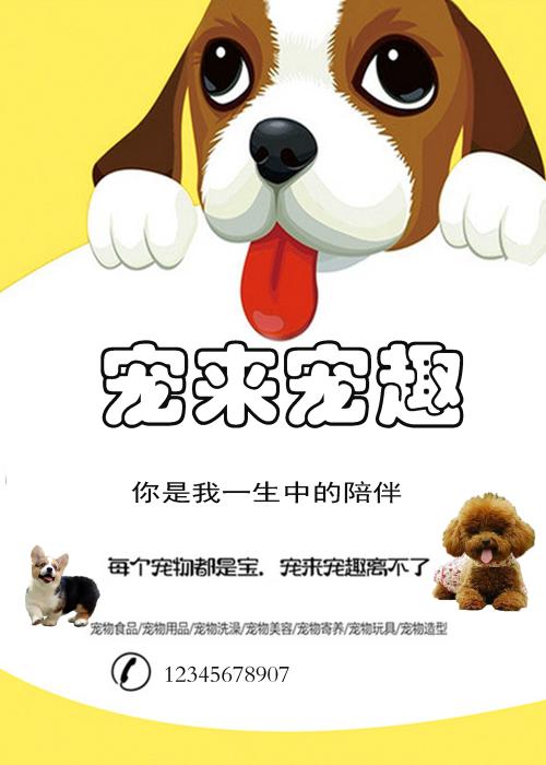 宠物论坛 第一季 Pet Talk Season 1图片