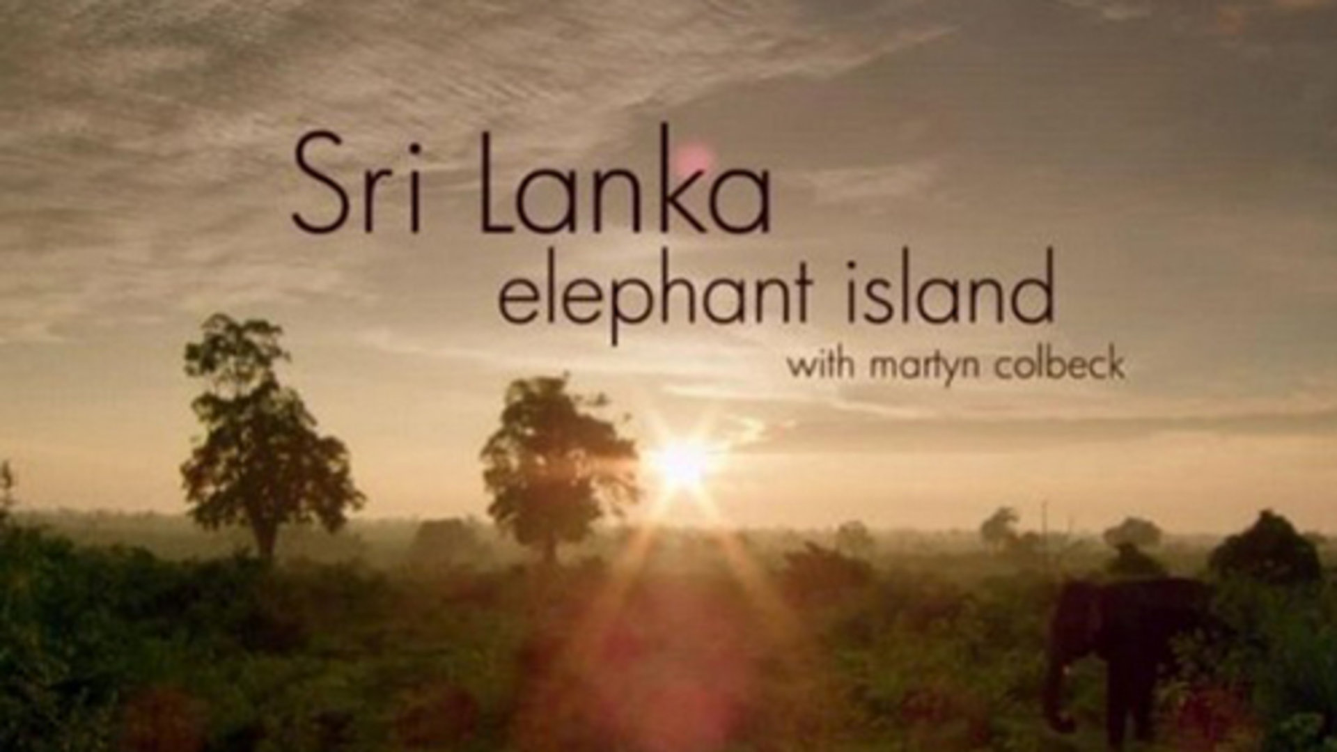 斯里兰卡: 象岛图片