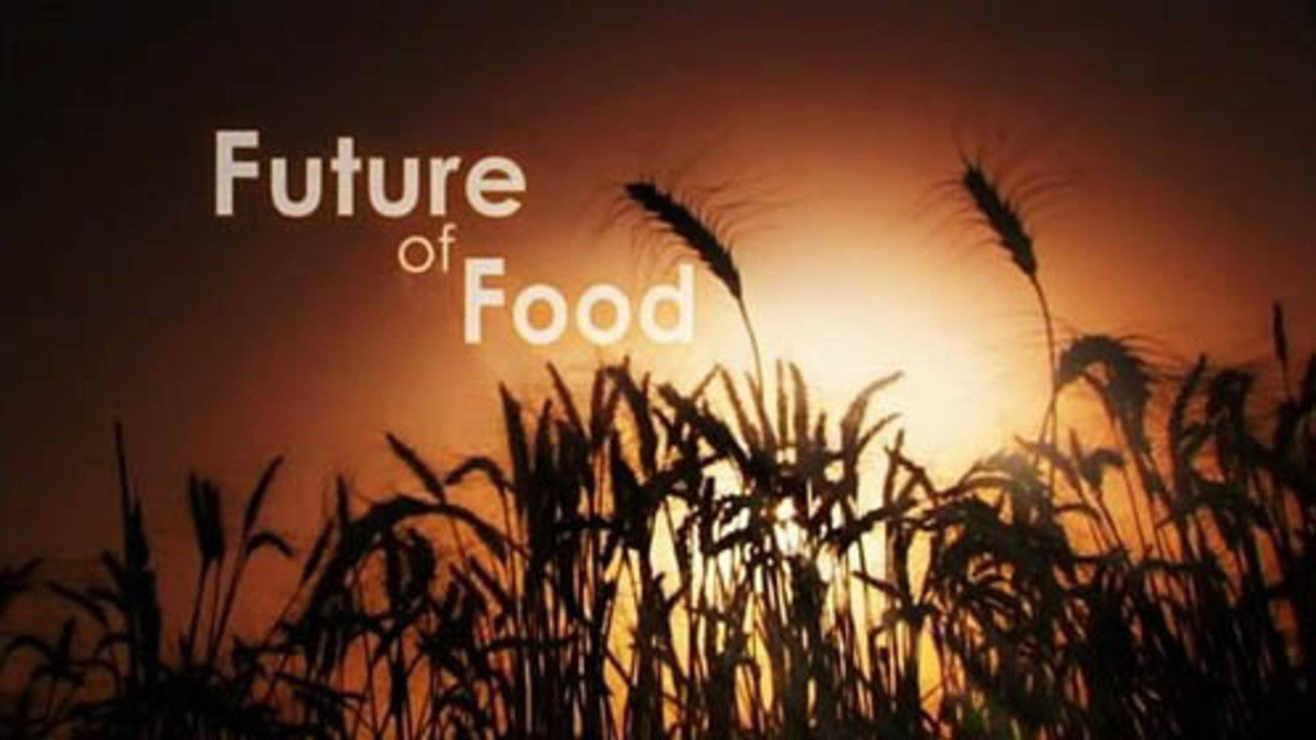 食物的未来图片
