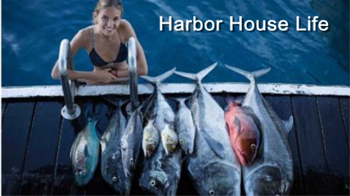 Harbor House Life2016图片