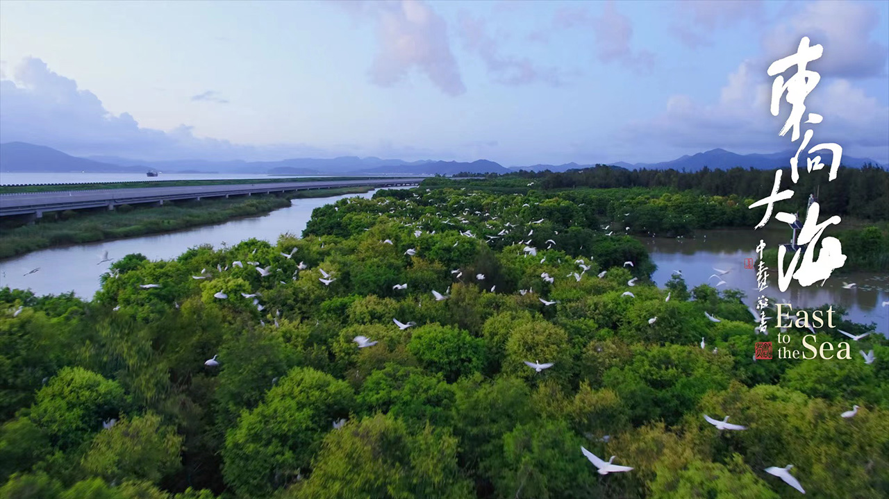 东向大海