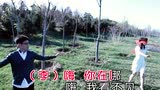 石头	 李玉刚《雨花石》 (KTV版)