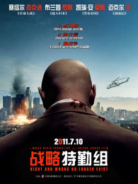 战略特勤组（2010）图片