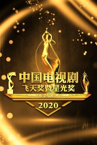 中国电视剧飞天奖暨星光奖 2020图片