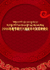 2016春节藏历新年电视联欢晚会图片