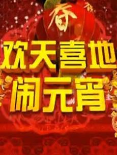 2016辽宁卫视元宵晚会图片