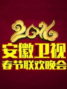 2016安徽卫视春晚图片