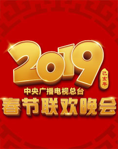 2019中央广播电视总台春节联欢晚会图片