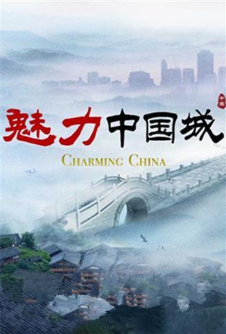 魅力中国城第二季图片