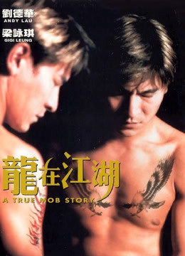 龙在江湖（1998）图片