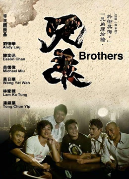 兄弟（2007）图片