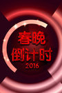 辽宁卫视春晚倒计时 2016