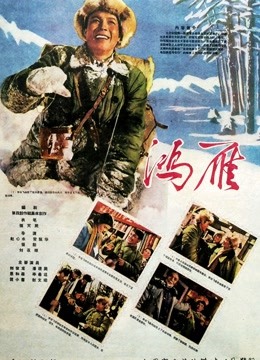 鸿雁（1960）图片