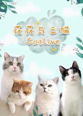 花花与三猫CatLive2020图片