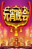 央视2014元宵晚会图片