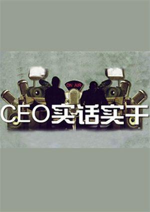 CEO实话实干2011图片