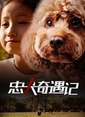 忠犬奇遇记图片