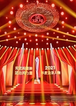 2021年度法治人物图片