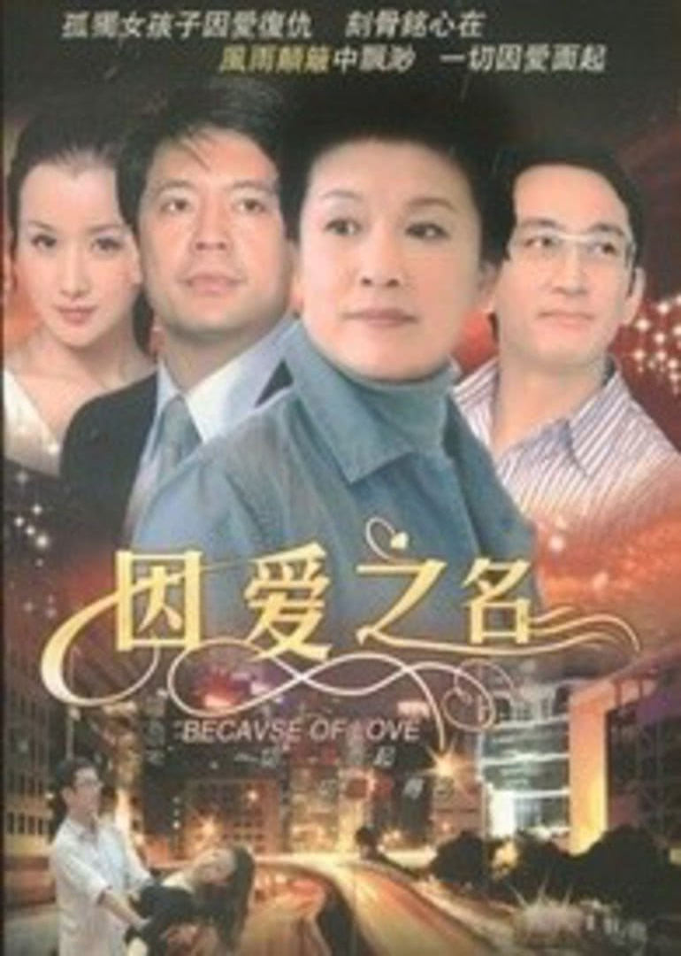 因爱之名连续剧2007