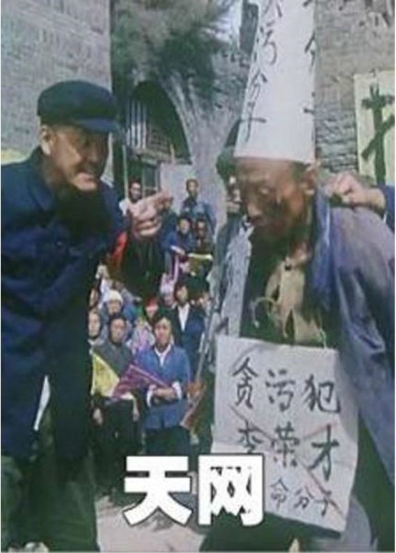 天网电影1994图片