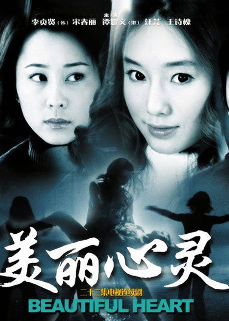 美丽心灵连续剧2004