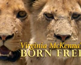 弗吉尼亚·麦肯娜回顾《生来自由》图片