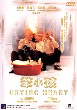 笨小孩1999图片