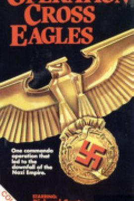 十字鹰行动 Operation Cross Eagles图片
