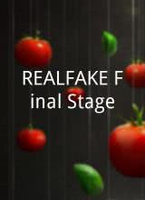 REAL FAKE Final Stage图片