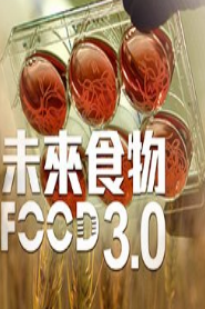 未来食物3.0粤语版图片